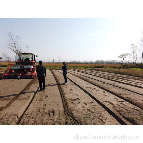 Agricultural Corn Planter agricultural tractor vegetable planter Manufactory